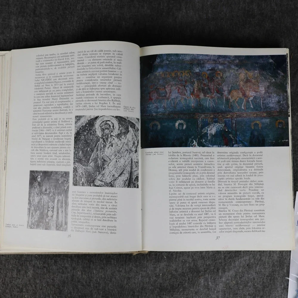 Vintage Pictura Românească În Imagini Drăguț Florea 1976 Romania Art Book HC DJ